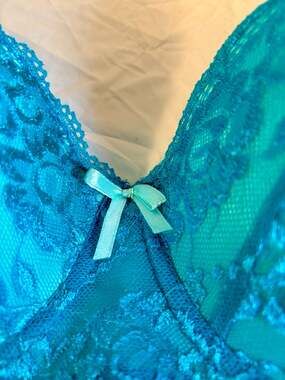 Mamia Lingerie Teal Lace Full Coverage Underwire Bra 36D